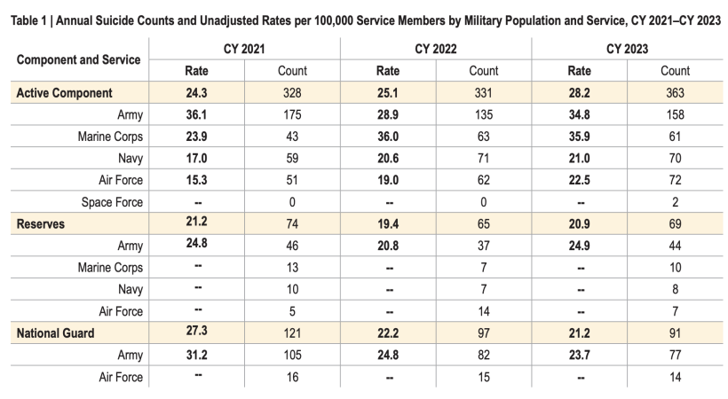 military suicide